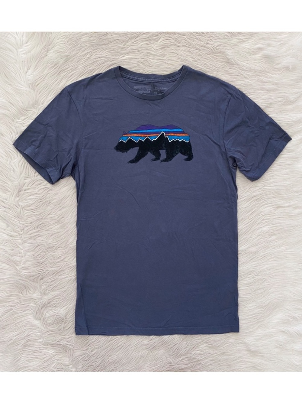 Patagonia Men’s Blue Fitz Roy Bear Graphic Organic Cotton T-Shirt Slim Fit S